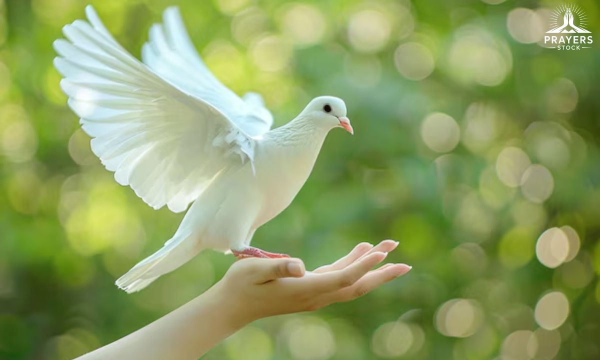 Why Forgiveness Matters for a Peaceful and Loving Heart 